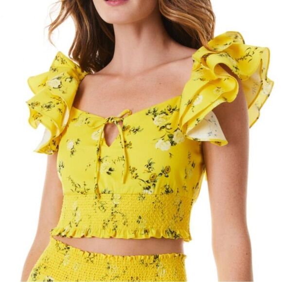 Alice + Olivia Ruffle Sleeve Tie Front Cropped Top Sunbeam Small MSRP $458 - Picture 2 of 10